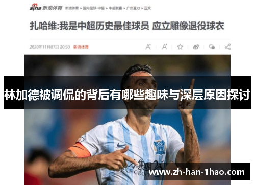 林加德被调侃的背后有哪些趣味与深层原因探讨