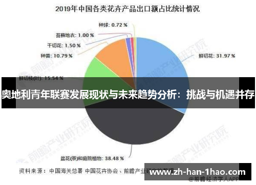 奥地利青年联赛发展现状与未来趋势分析:挑战与机遇并存 奥地利青年联赛发展现状与未来趋势分析:挑战与机遇并存