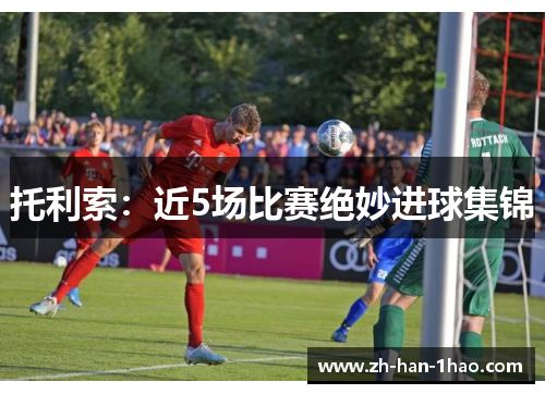 托利索：近5场比赛绝妙进球集锦