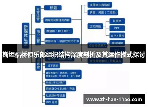 斯坦福桥俱乐部组织结构深度剖析及其运作模式探讨